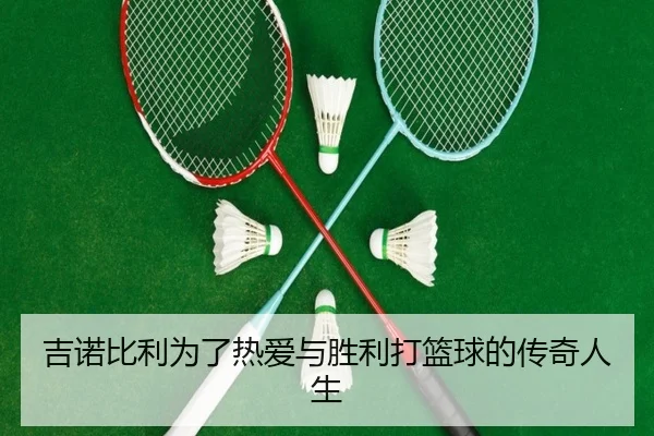 吉诺比利为了热爱与胜利打篮球的传奇人生