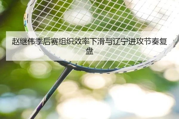 赵继伟季后赛组织效率下滑与辽宁进攻节奏复盘